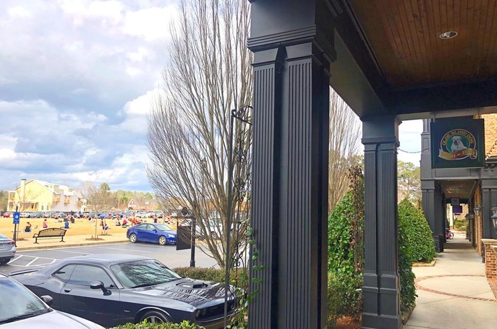 130 Barrow Downs, Alpharetta GA 30004-4014 exterior