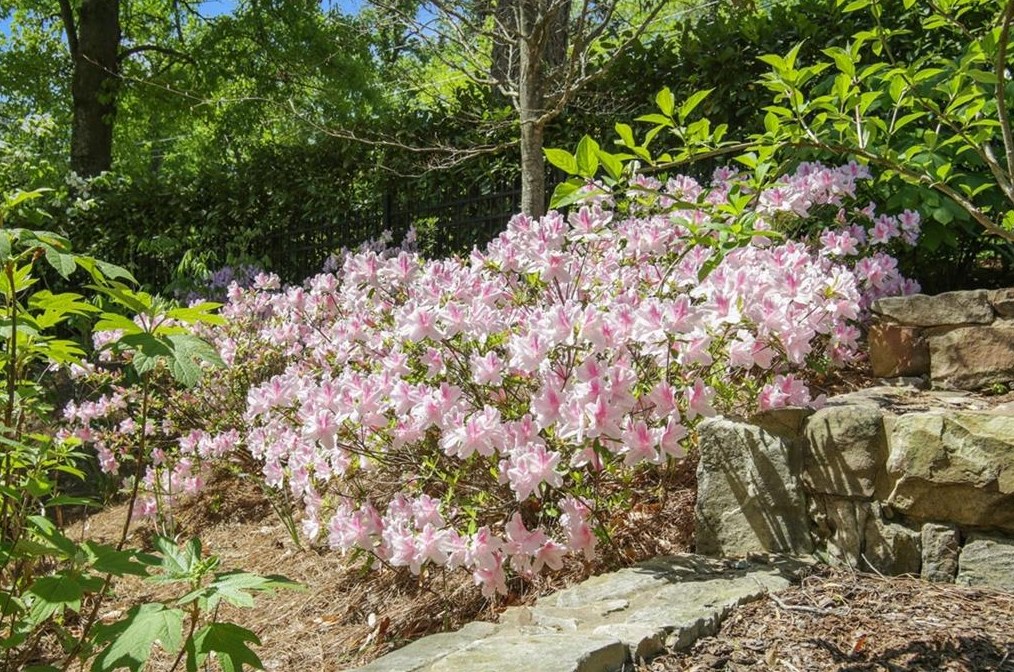 2841 Vernon Rd, Atlanta GA  30305-2934 exterior