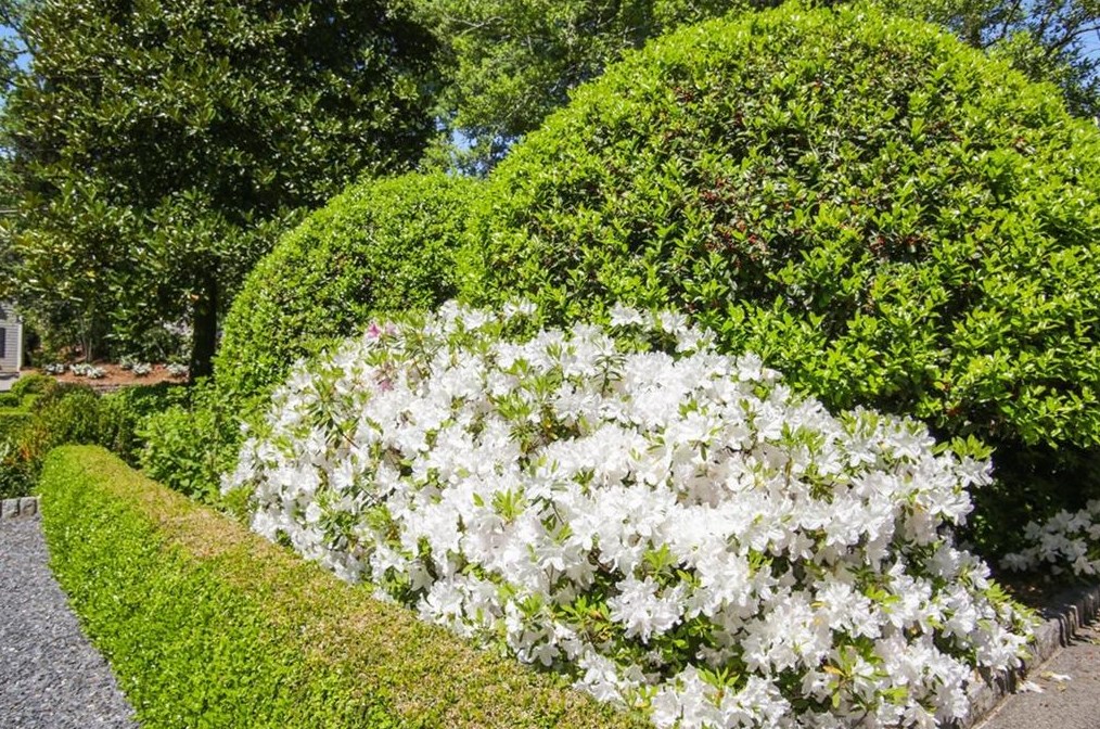 2841 Vernon Rd, Atlanta GA  30305-2934 exterior