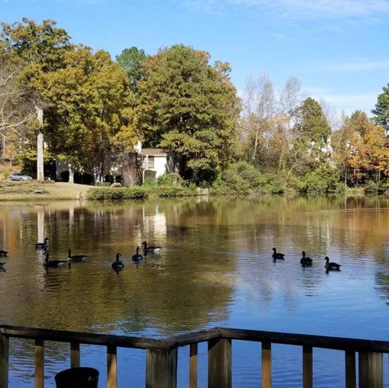 3966 Lehigh Blvd, Decatur GA  30034-5814 exterior