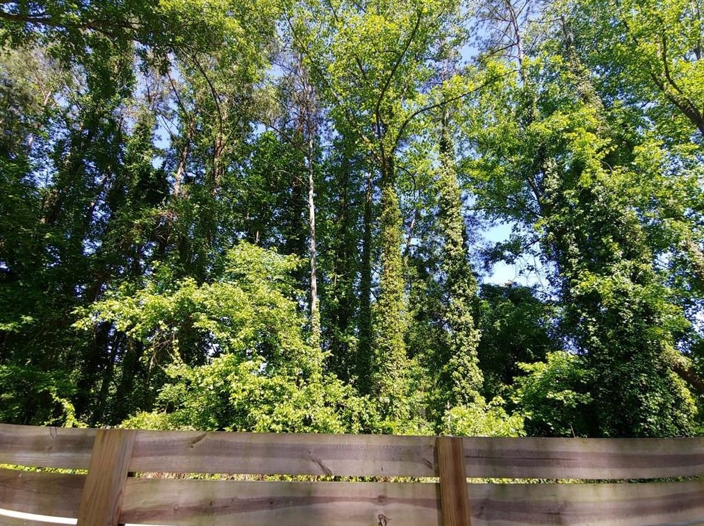 2894 Joyce Ave, Decatur GA  30032-4324 exterior