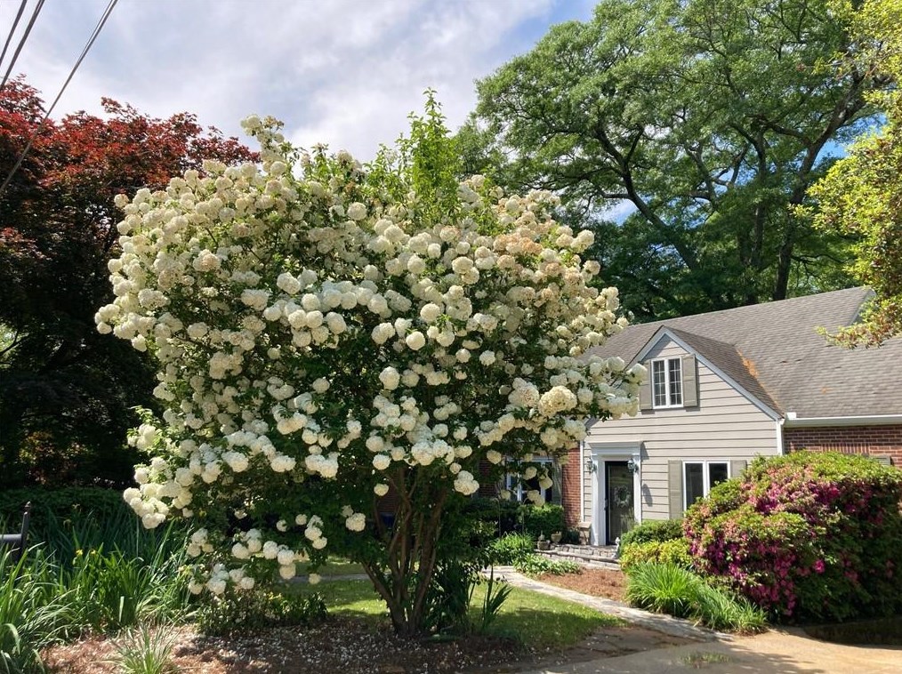 213 Shadowmoor Dr, Decatur GA  30030-3850 exterior