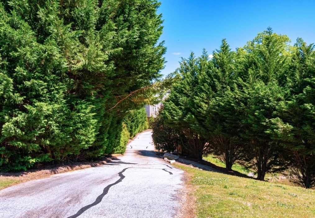 2219 Caledonia Dr, Lawrenceville GA 30045-3597 exterior