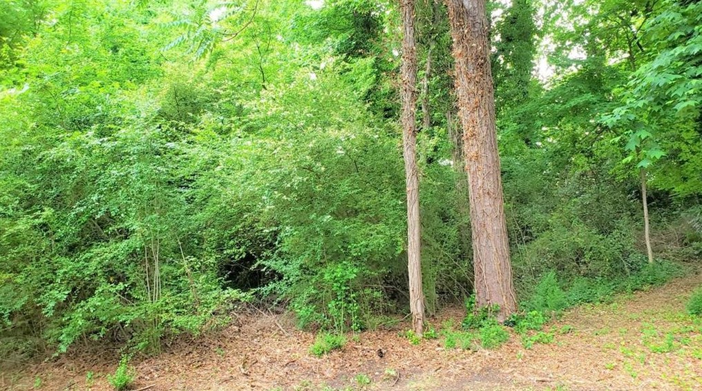 1939 Wildwood Pl, Atlanta GA  30324-4959 exterior