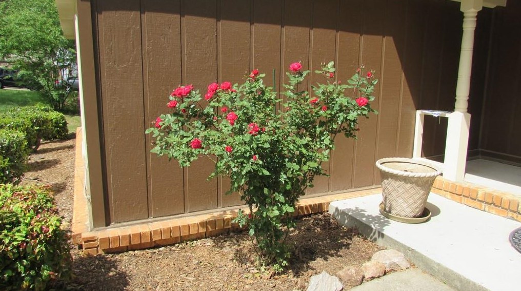 4026 Pinehurst Valley Dr, Decatur GA  30034-5235 exterior