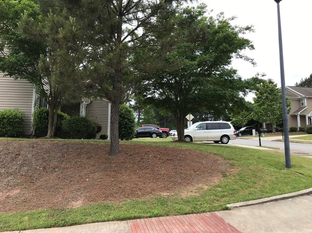 1377 Alcovy Falls Dr, Lawrenceville GA  30045-2204 exterior