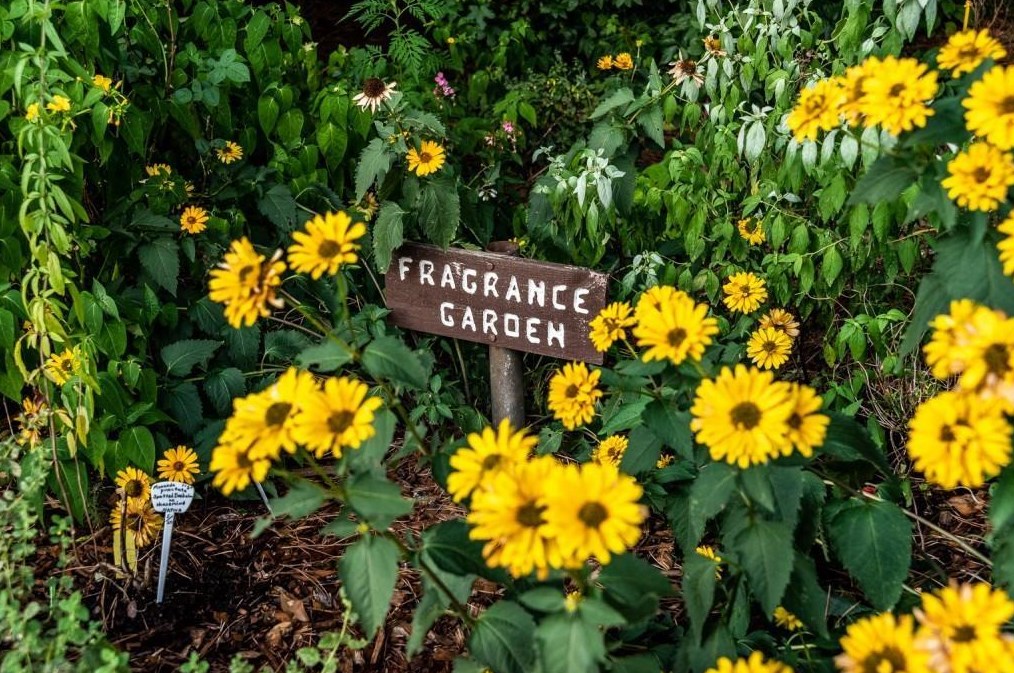 1415 Altamont Dr, Decatur GA  30033-2103 exterior