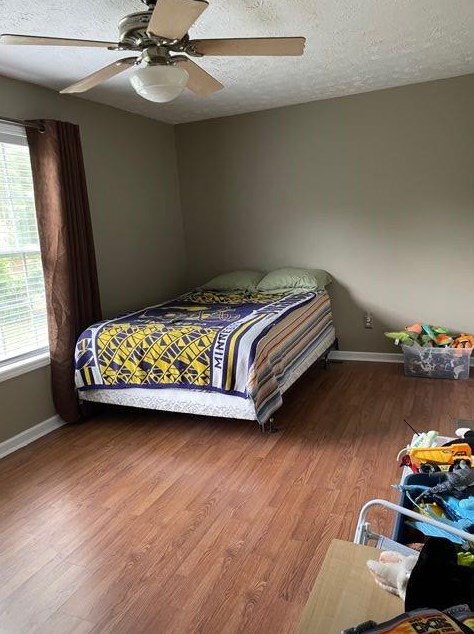 103 Spring Brook Ln, Dallas GA  30132-8501 exterior