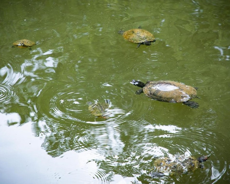 28415 Plantation Dr, Atlanta GA 30324-2966 exterior