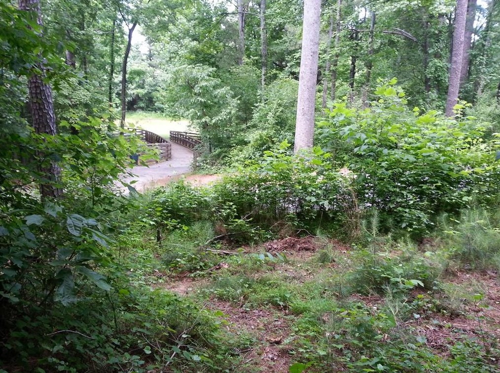 6685 Maid Marion Close, Alpharetta GA  30005-6412 exterior