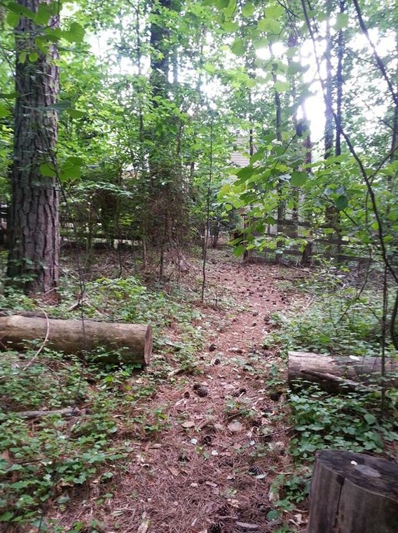 6685 Maid Marion Close, Alpharetta GA  30005-6412 exterior