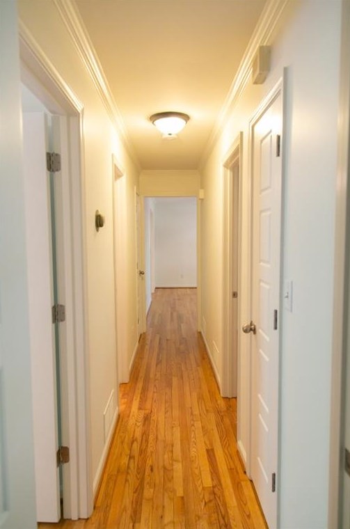 1547 Delia Dr, Decatur GA  30033-3373 exterior