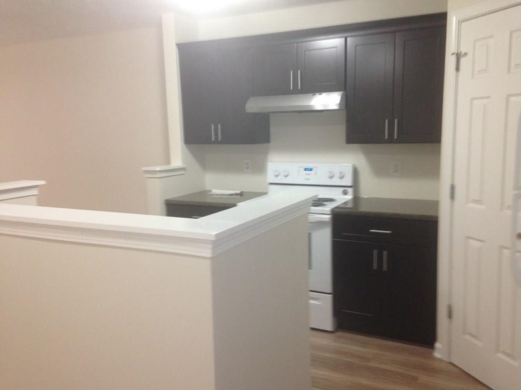 1482 Alcovy Falls Dr, Lawrenceville GA  30045-2200 exterior