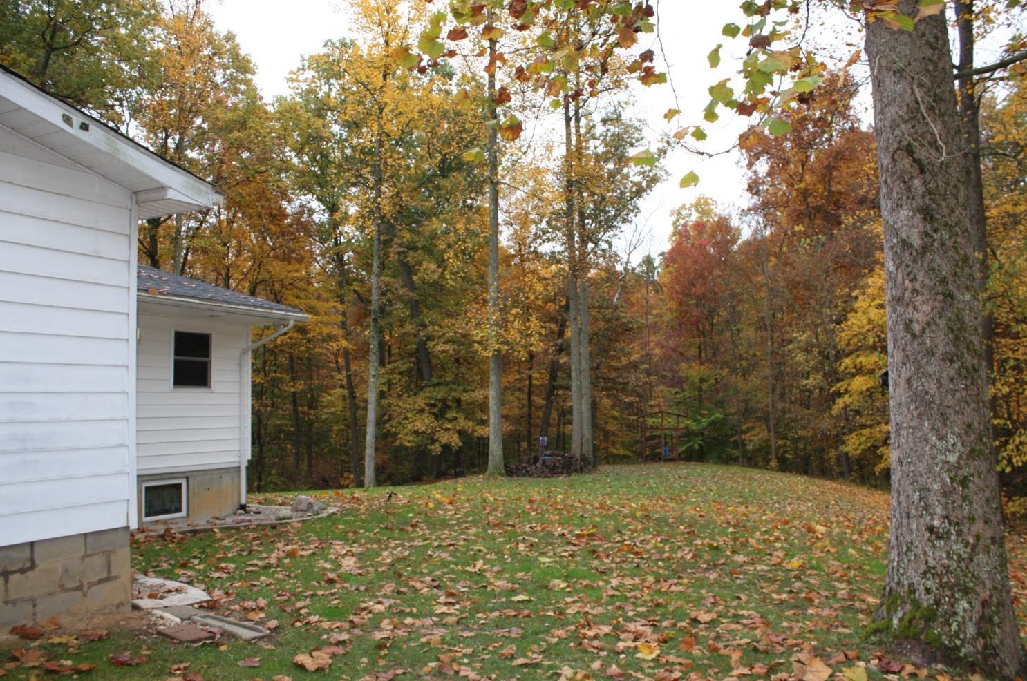 17066 Mcguire Rdg Rd, Buena Vista IN  47024-9731 exterior