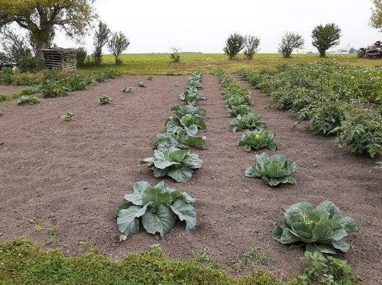 7952 State Rd 25, Rochester IN 46975-7517 exterior