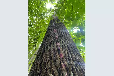 7100 S 225 West Street, Versailles, IN 47042 - Photo 5