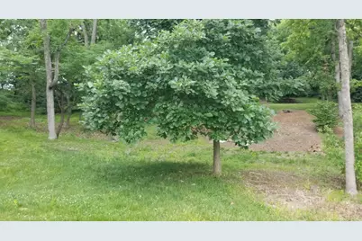 1852 Aqua Vista Drive, Lawrenceburg, IN 47025 - Photo 3