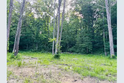 0 Laurel Road, Laurel, IN 47024 - Photo 3
