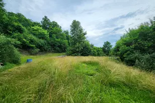 3125 State Route 156, Rising Sun, IN 47040 - Photo 7