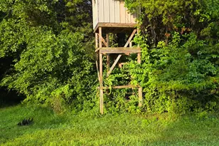 9758 Scotts Ridge Rd, Florence, IN 47020 - Photo 7