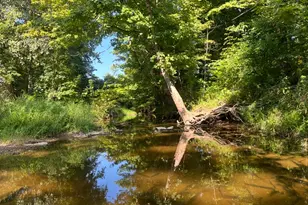 3639 W US Hwy 50, Holton, IN 47023 - Photo 51