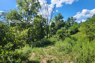 7492 Brooks Rd, Vevay, IN 47043 - Photo 53