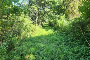 7492 Brooks Rd, Vevay, IN 47043 - Photo 47