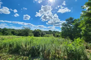 7492 Brooks Rd, Vevay, IN 47043 - Photo 55