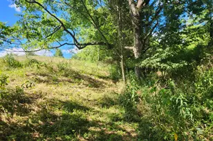 7492 Brooks Rd, Vevay, IN 47043 - Photo 51