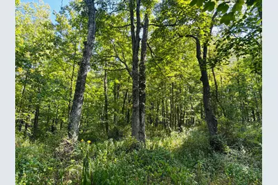 6546 S State Road 121, Connersville, IN 47331 - Photo 7