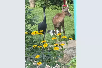 6071 Saint Peters Road, West Harrison, IN 47060 - Photo 63