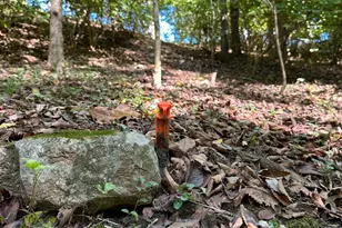 11081 Brookhill Dr, Brookville, IN 47012 - Photo 51