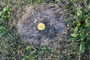 210 W 5th St, Greensburg, IN 47240 - Photo 35