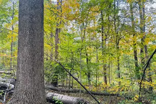 111 W Everton Rd, Connersville, IN 47331 - Photo 61