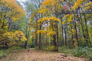 111 W Everton Rd, Connersville, IN 47331 - Photo 57