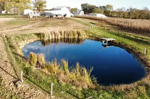 10941 Bennington Pike, Vevay, IN 47043 - Photo 65