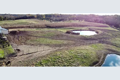 10941 Bennington Pike, Vevay, IN 47043 - Photo 53