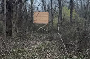 25146 Sanes Creek Rd, Laurel, IN 47024 - Photo 27