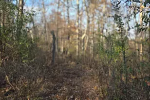 6164 McKay Rd, Madison, IN 47250 - Photo 25