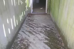 14156 Jim Run Rd, Laurel, IN 47024 - Photo 41