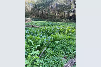 25146 Sanes Creek Road, Laurel, IN 47024 - Photo 25