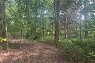 25146 Sanes Creek Rd, Laurel, IN 47024 - Photo 53