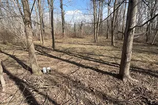 25146 Sanes Creek Rd, Laurel, IN 47024 - Photo 33