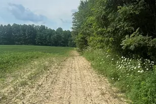 25146 Sanes Creek Rd, Laurel, IN 47024 - Photo 29