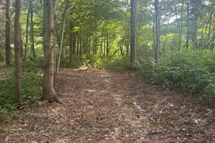 25146 Sanes Creek Rd, Laurel, IN 47024 - Photo 35