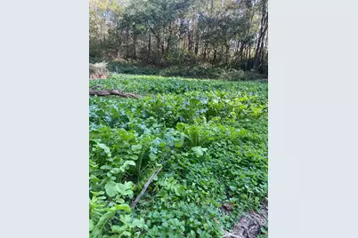 25146 Sanes Creek Road, Laurel, IN 47024 - Photo 23