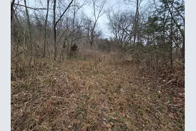 0 156 Highway, Patriot, IN 47038 - Photo 9