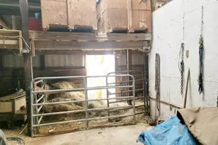 7972 N State Road 56, Vevay, IN 47043 - Photo 49