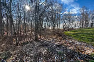 21126 St Marys Rd, Batesville, IN 47006 - Photo 43