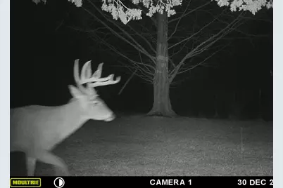 5032 Nell Lee Road, Bennington, IN 47011 - Photo 33